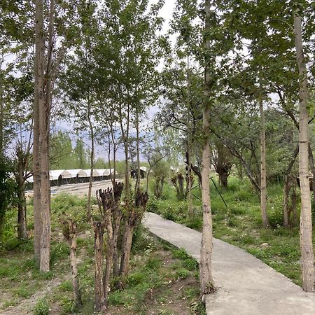 Ladakh Mountian Escape Camp By Lexstays Leh Extérieur photo