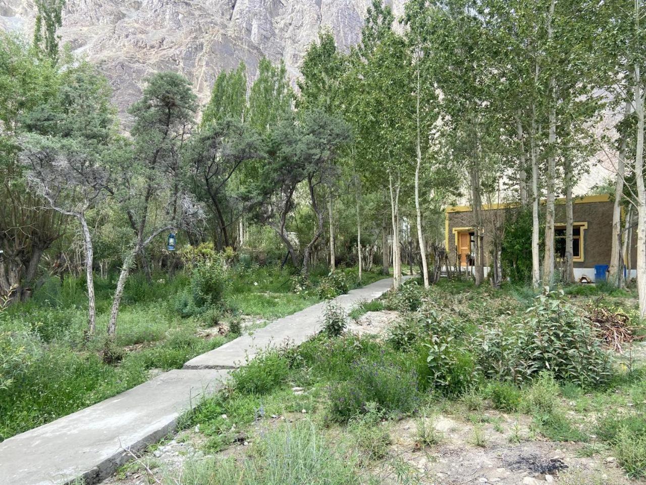 Ladakh Mountian Escape Camp By Lexstays Leh Extérieur photo